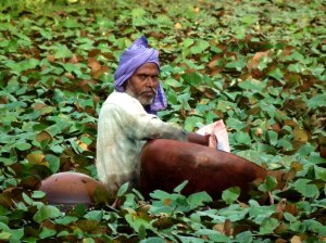 Varanasi i Haridwar, Indie