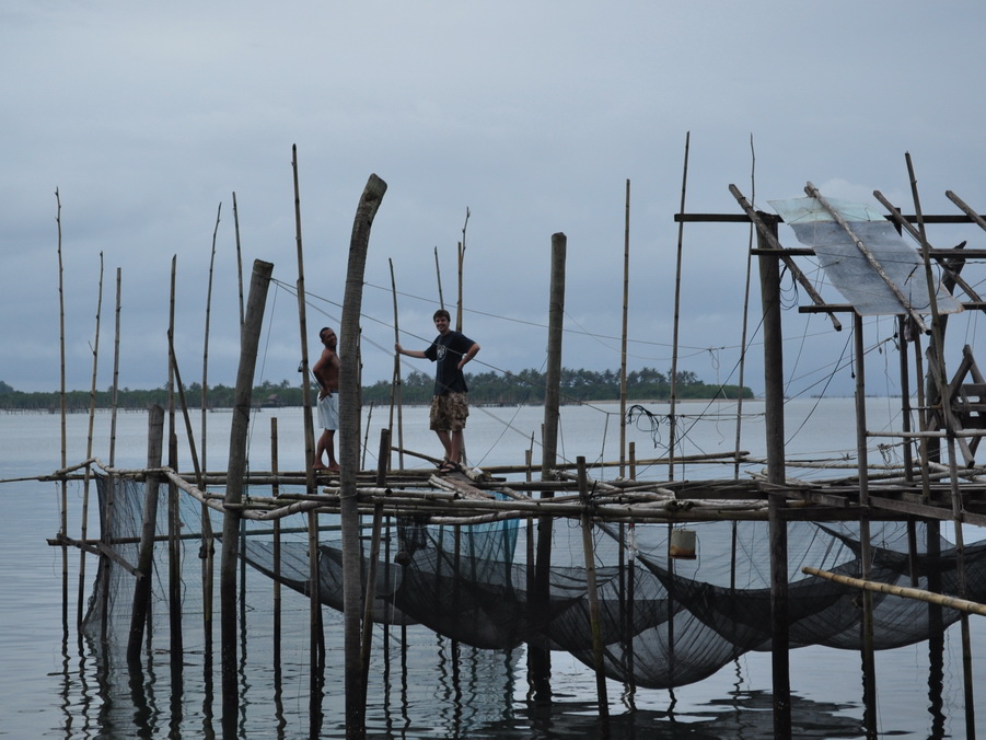 Na farmie ryp lapu-lapu