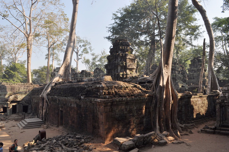 Świątynia Ta Phrom dzięki Tomb Raiderowi nazywana również Świątynią Angeliny Jolie