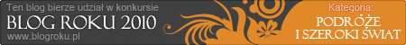 Blog roku 2010