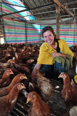 Vagabundos i kurczaki