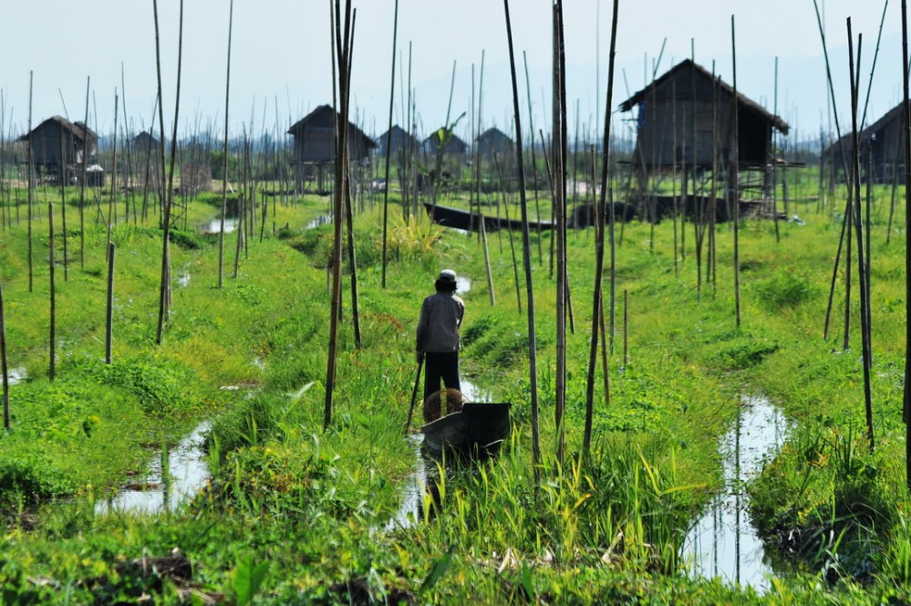 Pływające ogrody Inle