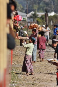 Komu kurczaka, komu mango, komu??!! A może makaronu?