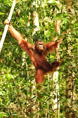 I na co się tak przyglądacie?