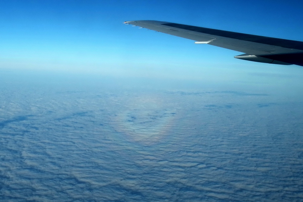 Nasza gloria (chwały??) w drodze do Szanghaju