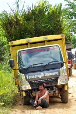 Jałowe oczekiwanie na zmiany na lepsze w indonezyjskim Kalimantanie