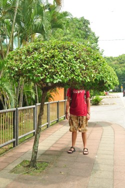 Azja dla Azjatów! Chodniki dla Malajów! (Kuala Lumpur, Malezja)