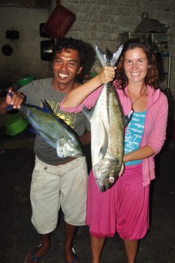 No to wygląda na to, że dziś na kolację karanks błękitnopłetwy, a jutro przez cały dzień srebrnopłetwy...