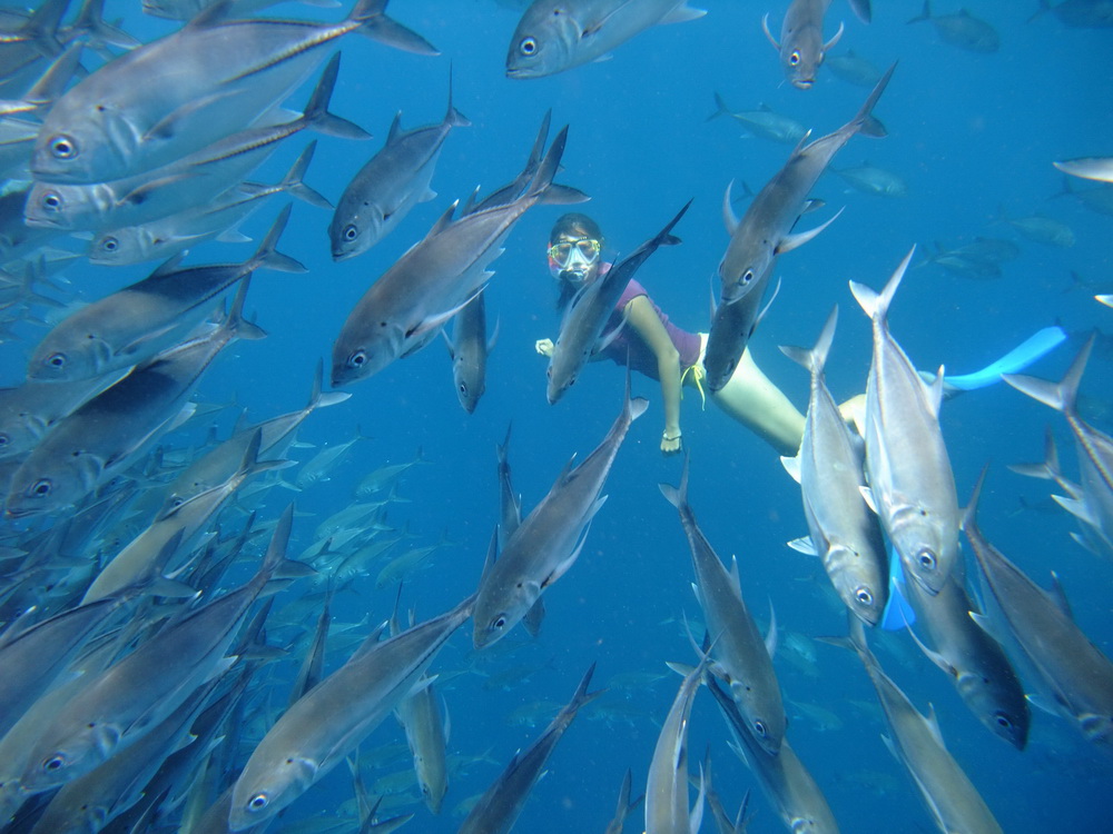 Podwodny włóczęga w otoczeniu tysięcy półmetrowych karanksów w okolicy Tulamben, u północnych wybrzeży Bali