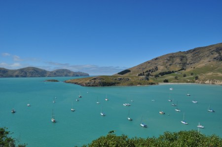 banks peninsula new zealand bay yacht