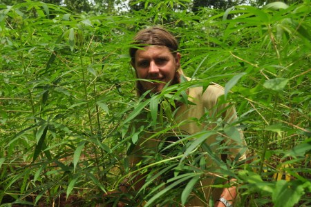 Bierzesz łódź i ruszasz w górę rzeki. Płyniesz godzinę wgłąb dżungli i Twoim oczom ukazuje się plantacja. I to wcale nie młode bananowce... "Może lepiej zawijajmy się, zanim wrócą właściciele?"