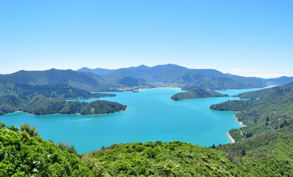 Pelorus Sound, Marlborough, Nowa Zelandia