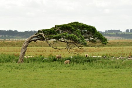 Prognoza na najbliższe dziesięciolecia: Wiatr silny, chwilami porywisty, południowy i południowo-zachodni