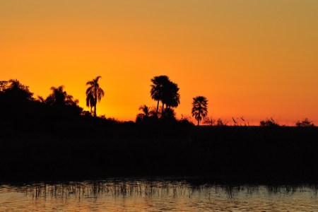 Moskity tną niemiłosiernie, ale warto doczekać do zachodu