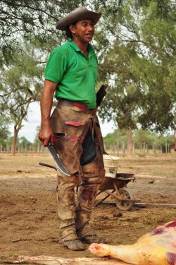 Gaucho podczas oprawiania dorodnej jałówki