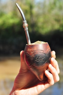Yerba mate Yerba mate