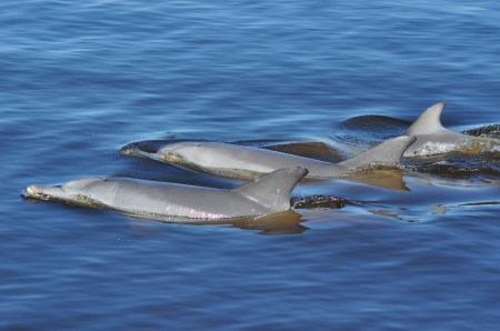 Perth, Australia - jedno z najlepszych miast do życia. Dla wszystkich.