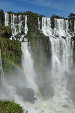 Ciepło, wilgotno i zatrzęsienie owoców - środowisko naturalne latynoskich artesano