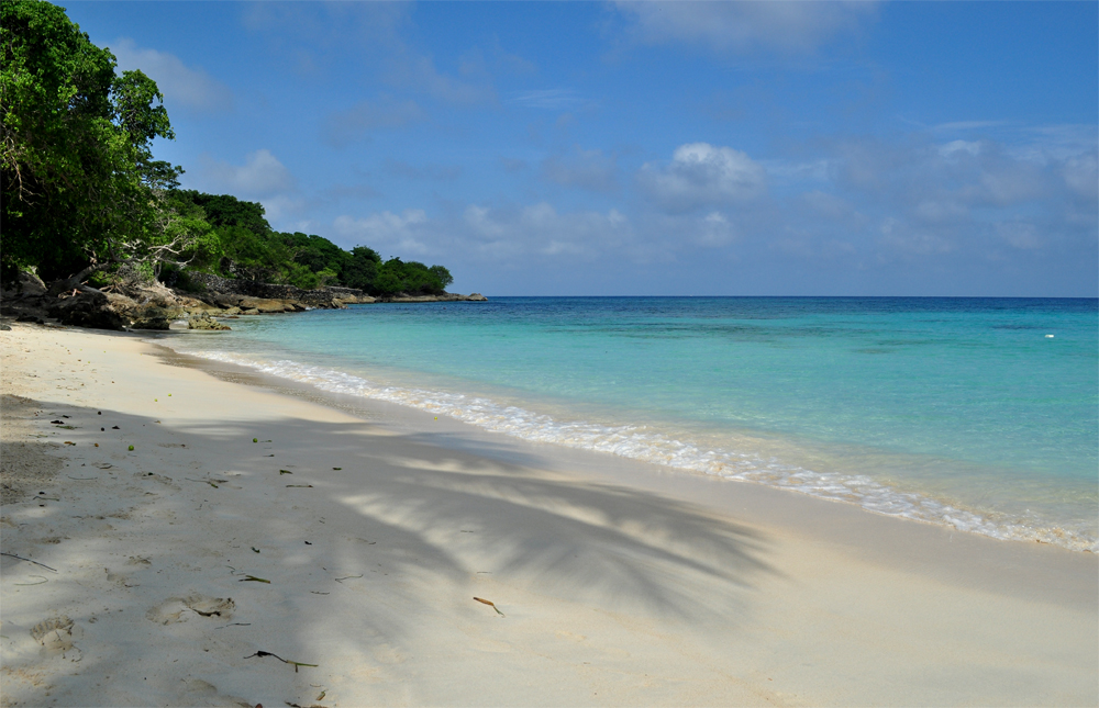 Odrobina lata na zimowe wieczory