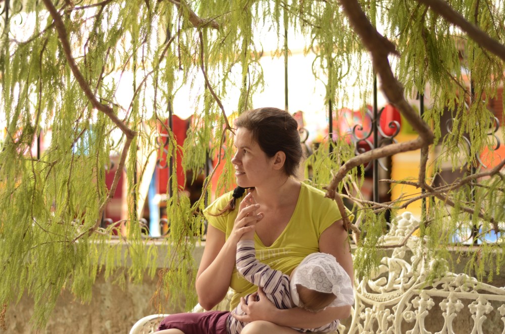 Gościu, siądź pod mym liściem, a i pojedz sobie